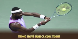 Tham Gia Cá Cược Quần Vợt AE888: Cơ Hội Vàng Chờ Bạn Khám Phá!